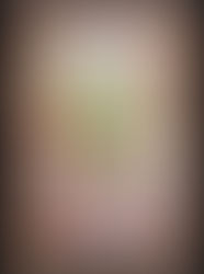 Prodajna izložba slika Tanje Šarčević