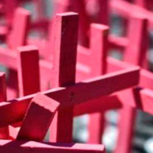 Entre enero y junio de 2025 se registraron 338 feminicidios en México; 66 agresores se suicidaron tras cometer el delito, según datos del SESNSP y la SSPC