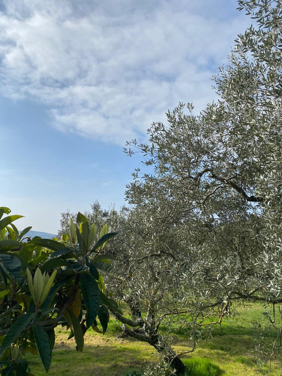 WhatsApp Image 2026-03-10 at 11.55.31