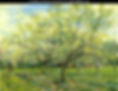 Orchard-with-Blossoming-Plum-Trees