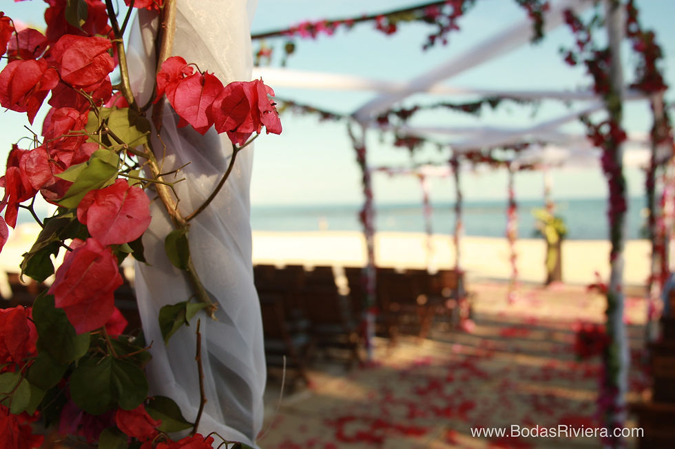 bodasrivieramaya-6.jpg