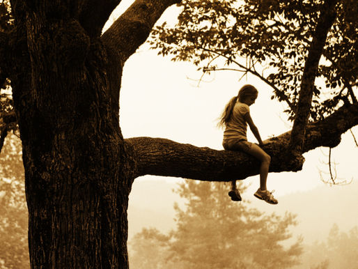 Climb Anyway: When You’re Willing to Rise Just to See Jesus