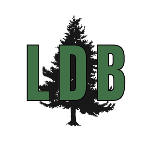 Brand Identity