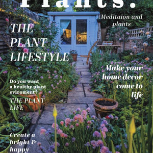 Publication Design
