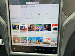 TESLA X PERFORMANCE LUDICROUS RAVEN 2020 GO FAST 60 OCCASION OISE