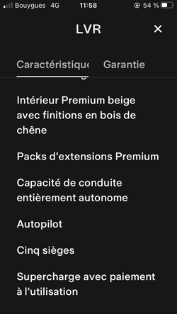 TESLA X LONG RANGE RAVEN 2020 GO FAST 60 OCCASION OISE