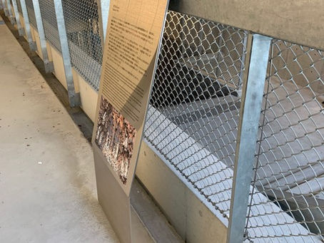 キャプションプレート