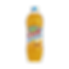 Oasis 2 L