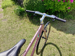 GIOS ジオス ミストラル リミテッドエディション 限定カラー「SAKURA（サクラ）」