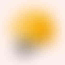 nico ベビーLヘルメット