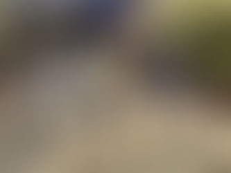 サカモトテクノ 軽快車アレスコ 再入荷しました