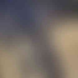 サカモトテクノ ALESCO(アレスコ)