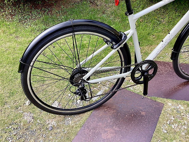 ダイニチ ゼラス