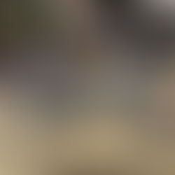 丸石サイクル 軽快車 ピーク入荷しました