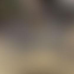 丸石サイクル 軽快車 ピーク入荷しました