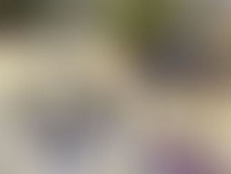 UNIZE Avis ユナイズ アヴィス