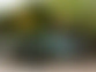 ビーチクルーザー KB