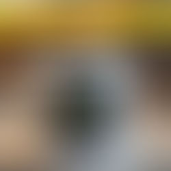 MERIDA 旧モデル在庫売り尽くしセール実施中