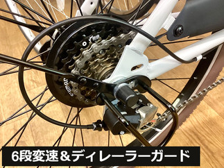 街乗りビーチクルーザー風「ポートレートウェーブ」