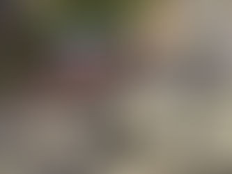 カラバリ豊富なサドルバッグ「RADTAIL」が入荷しました