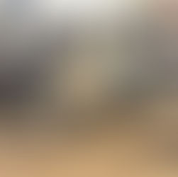 イーエムサイクルズ C101！ ご成約いただきました