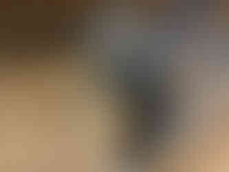 tokyobike 26(ニジュウロク)