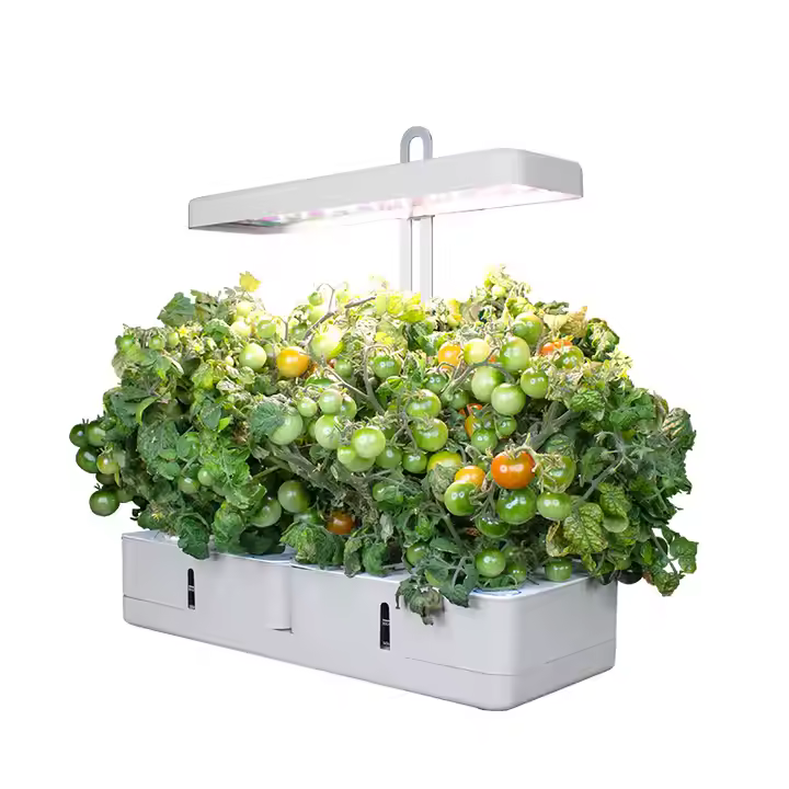 Counter Top Hydroponics Kit