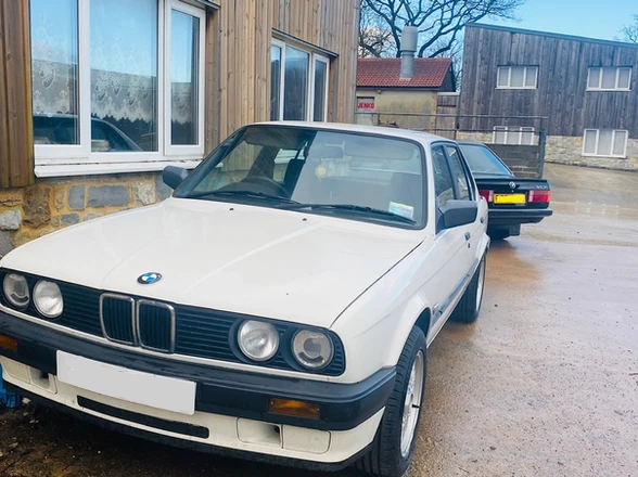 German Cars.png