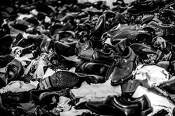 5_DSC6385