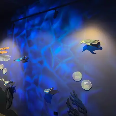 Out in The Blue Display, Oāmaru Penguins Discovery Centre