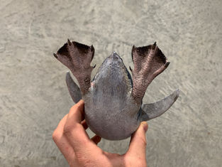 Finished life-size Little Blue Penguin model - 3D printed and painted (back view)