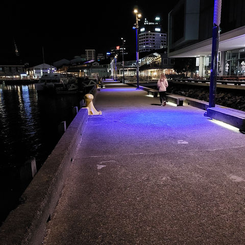 Wellington Waterfront pole wraps at night