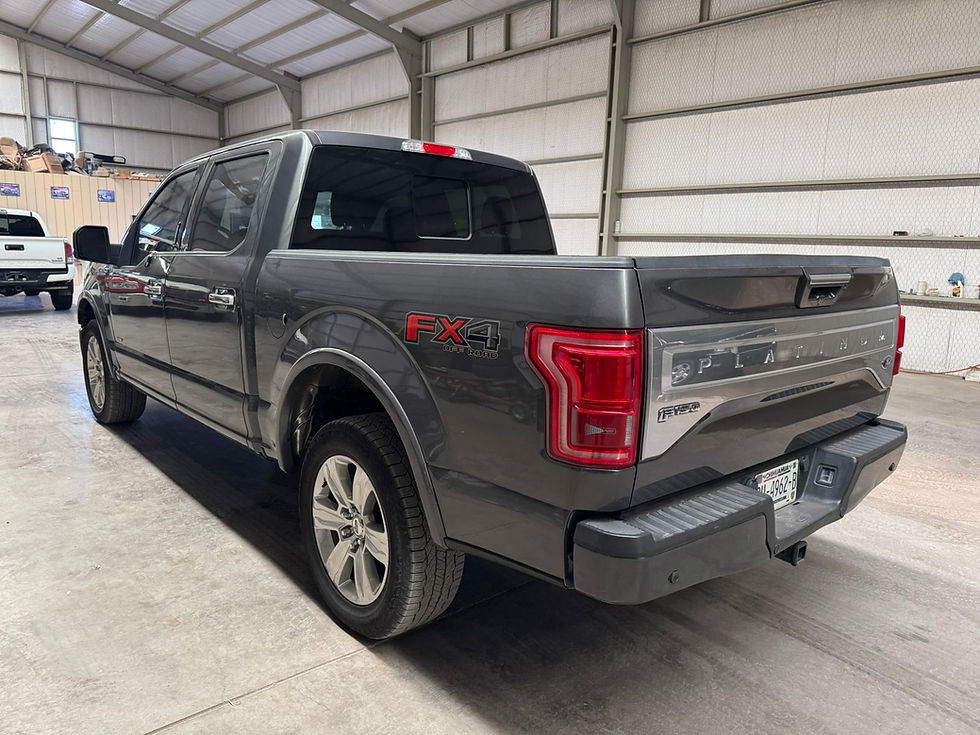 Miniatura: 2015 Ford F-150 Platinum 4X4