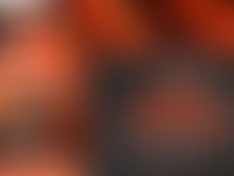 INTERVIEW WITH A BENGALS FAN!!