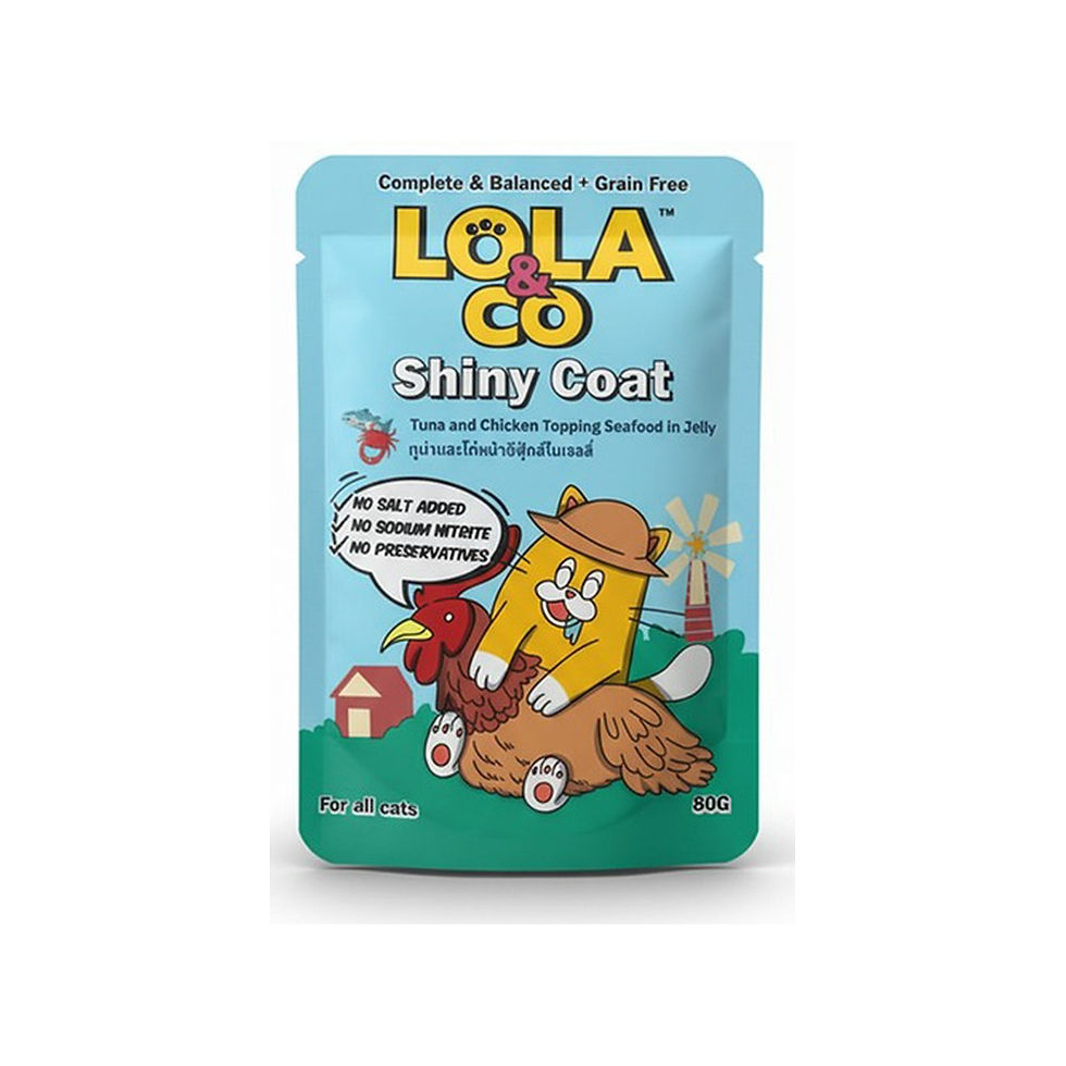 פאוץ' מעדן רטוב לחתולים Shiny Coat | טונה ופירות ים | 80 גרם | Lola & Co | מותג באנגלית: Lola & Co