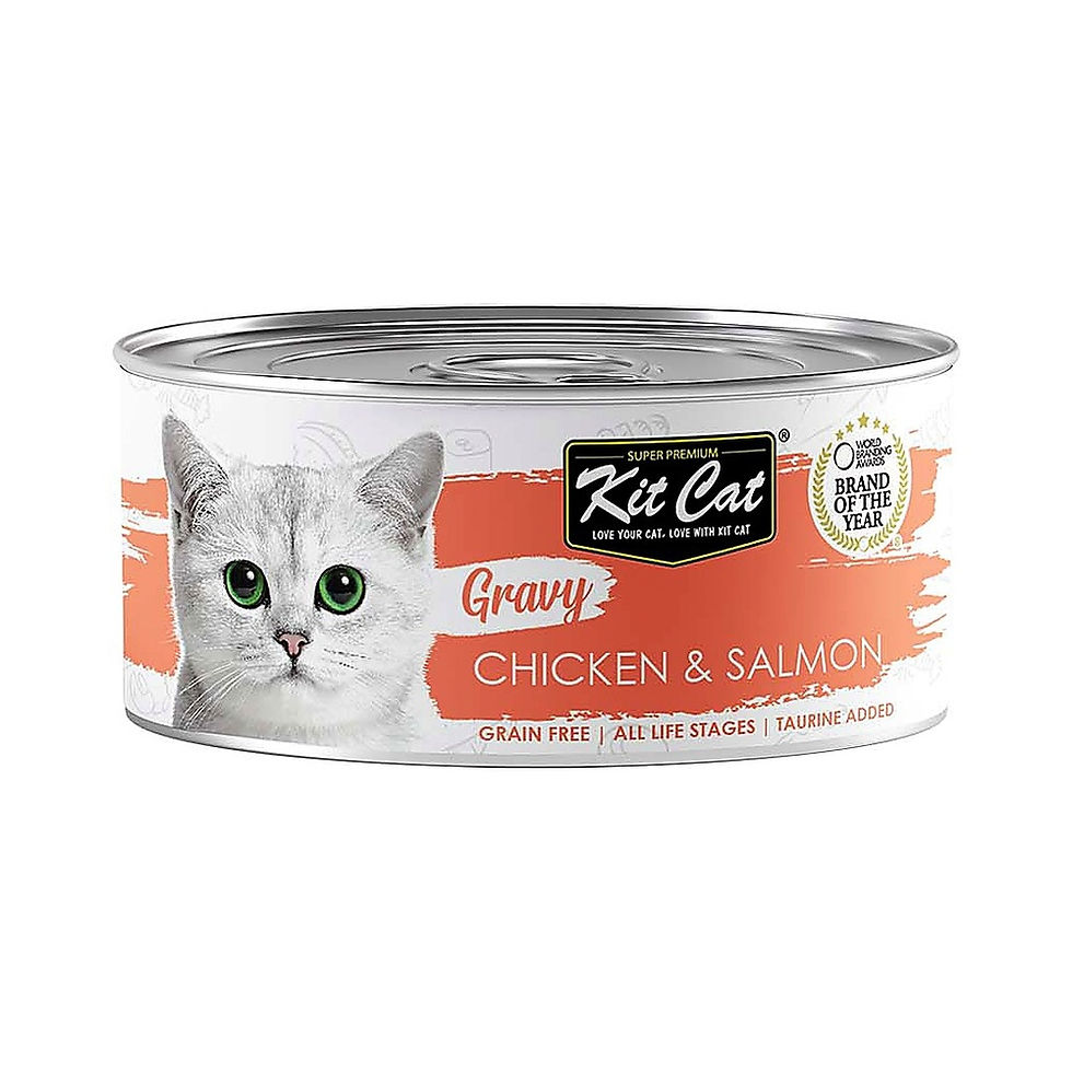 מעדן לח Gravy לחתולים ללא דגנים | עוף וסלמון | 70 גרם | Kit Cat | מותג באנגלית: kit cat