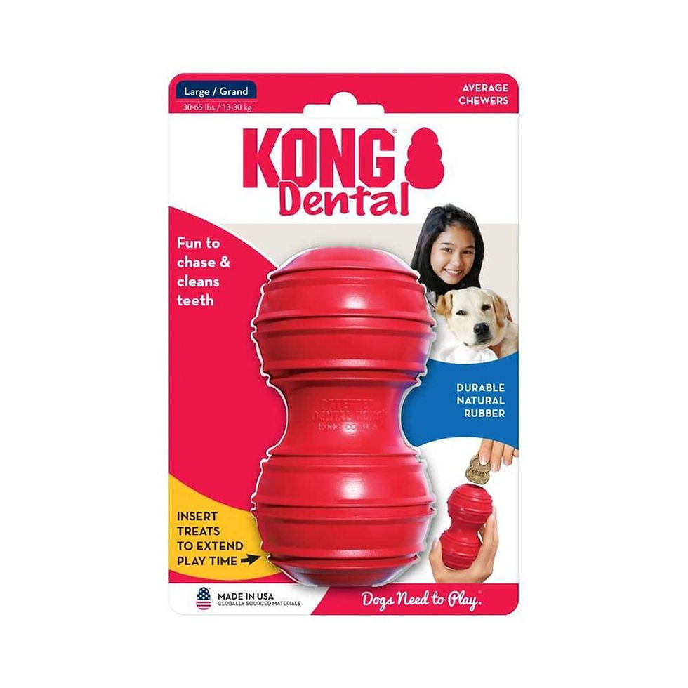 צעצוע גומי Dental לניקוי השיניים לכלבים | L | KONG | מותג באנגלית: Kong