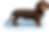 dog.png