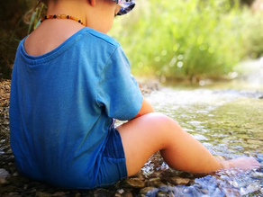 נחל ערוגות. אבל זה לא הכל