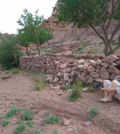 4794c205-de4d-47ed-b445-63ab539510c1.jfif