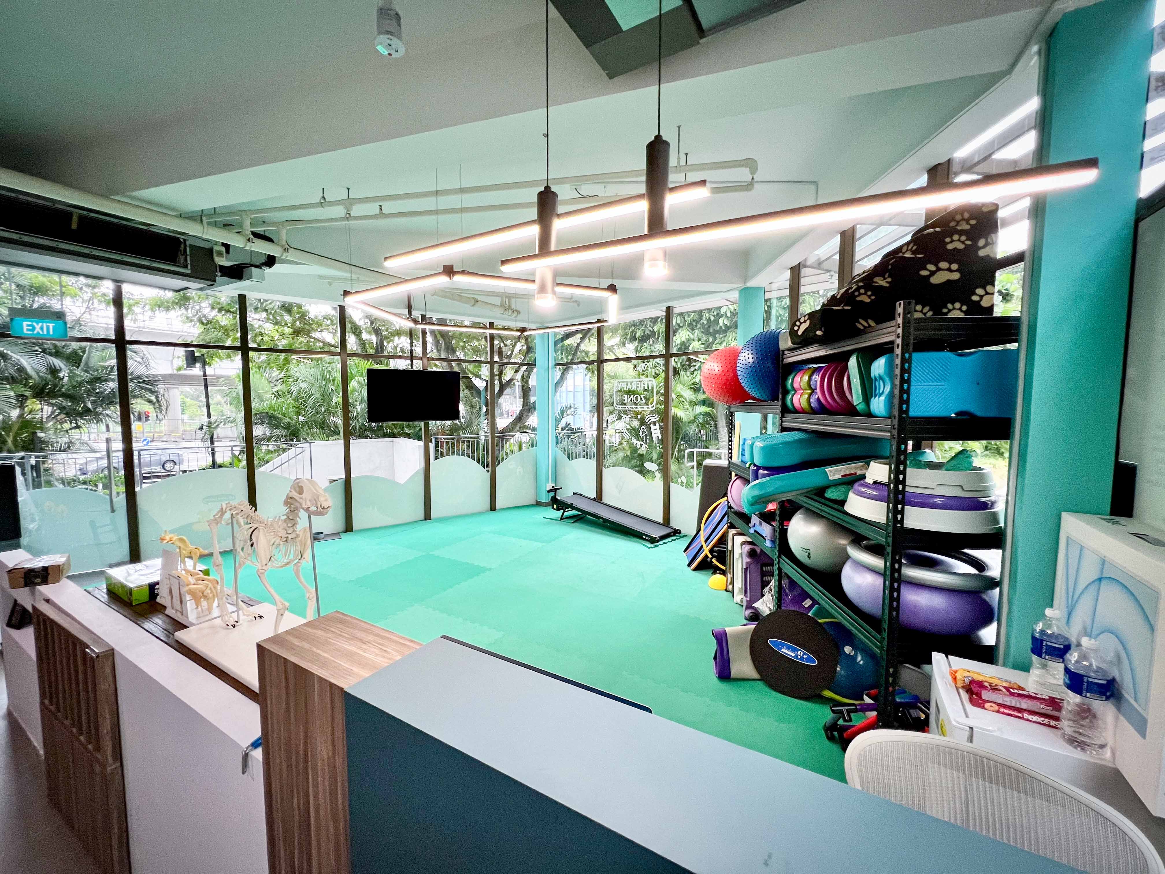 Fido's Pawpose new and bigger pet physio clinic facility