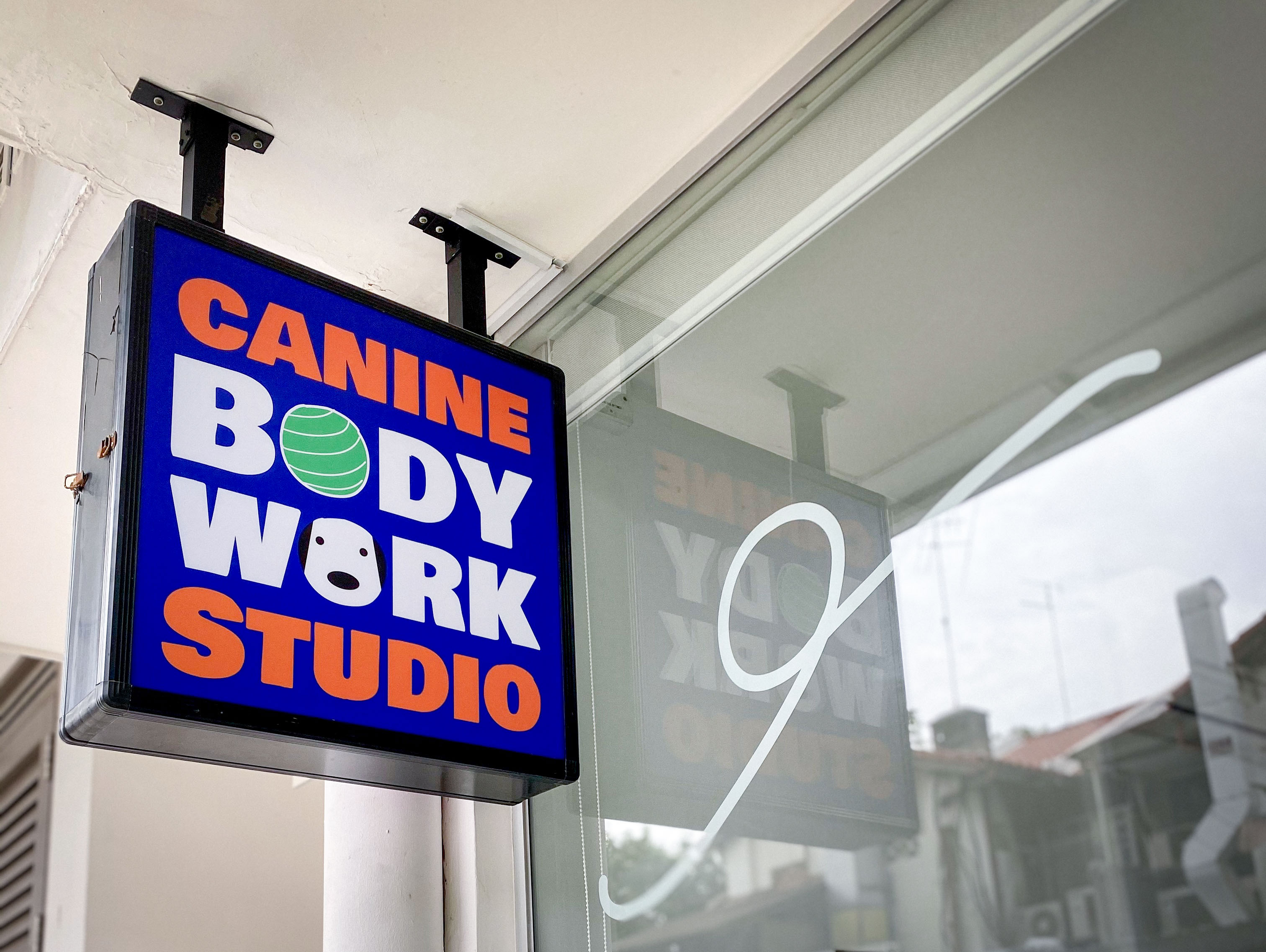 Fido's Pawpose first clinic facility for pet physiotherapy