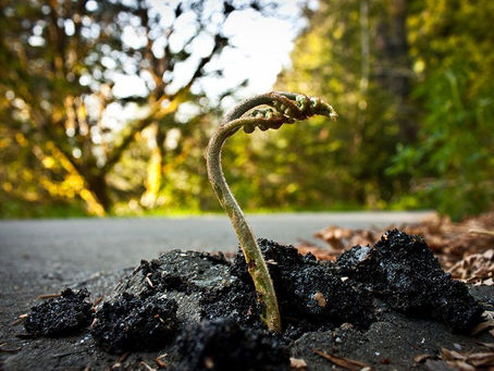 Le rôle du rythme dans la réhabilitation et la thérapie