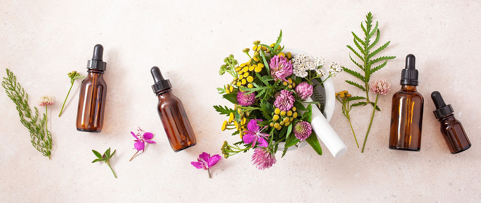 AdobeStock_286337157_edited.jpg