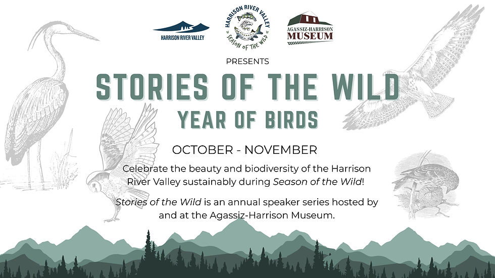 Stories of the Wild: Year of Birds