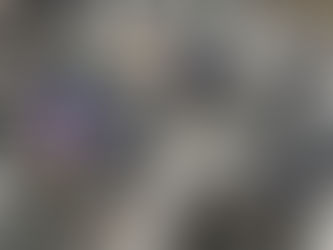 次シーズンに向けて