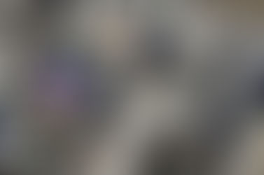 次シーズンに向けて