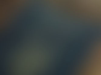 FOX BROTHERS限定生地