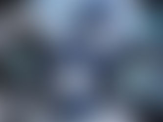 新作生地紹介　スタイルビエラ