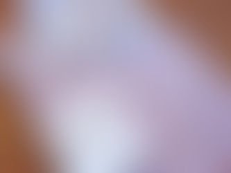 今年最後のシャツフェア